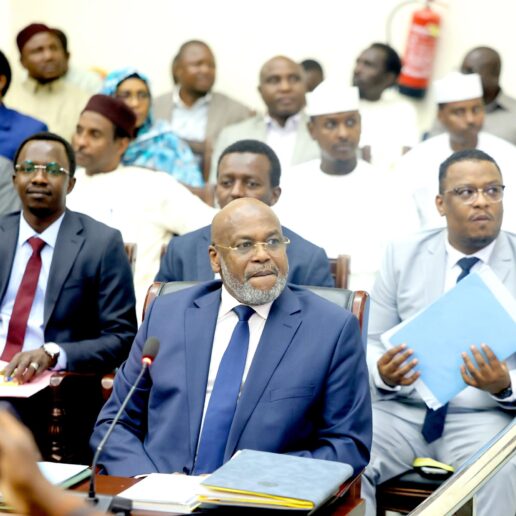 Interpellation du MATUH à l’Assemblée Nationale : séance du 24 novembre 2025 à N’Djamena 21