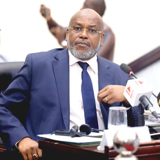 Interpellation du MATUH à l’Assemblée Nationale : séance du 24 novembre 2025 à N’Djamena 26