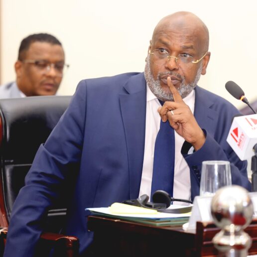 Interpellation du MATUH à l’Assemblée Nationale : séance du 24 novembre 2025 à N’Djamena 29