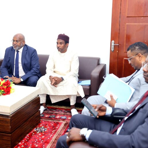 Interpellation du MATUH à l’Assemblée Nationale : séance du 24 novembre 2025 à N’Djamena 31