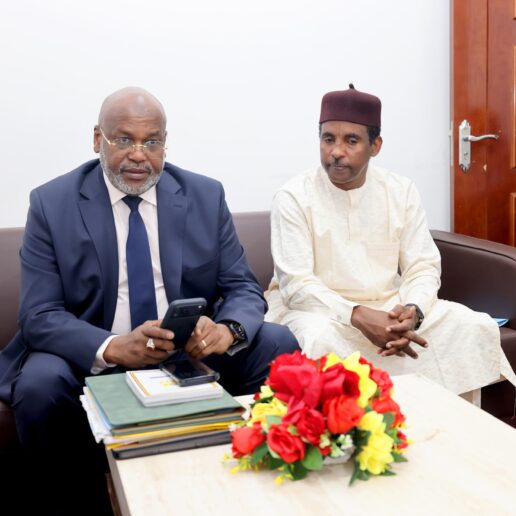 Interpellation du MATUH à l’Assemblée Nationale : séance du 24 novembre 2025 à N’Djamena 35