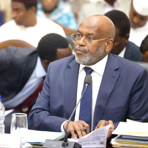 Interpellation du MATUH à l’Assemblée Nationale : séance du 24 novembre 2025 à N’Djamena 53