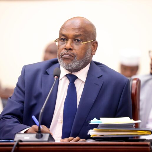 Interpellation du MATUH à l’Assemblée Nationale : séance du 24 novembre 2025 à N’Djamena 54