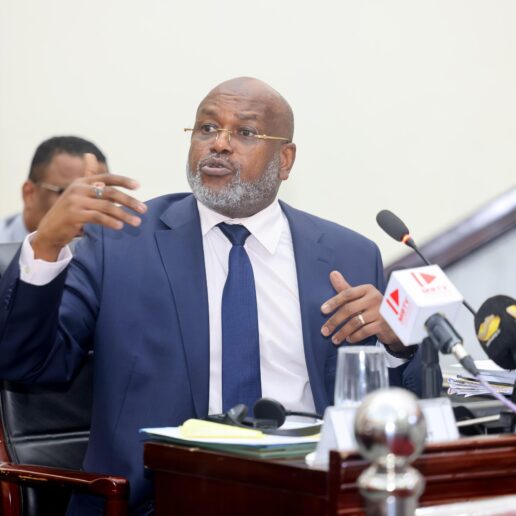 Interpellation du MATUH à l’Assemblée Nationale : séance du 24 novembre 2025 à N’Djamena 58