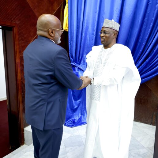 Interpellation du MATUH à l’Assemblée Nationale : séance du 24 novembre 2025 à N’Djamena 61