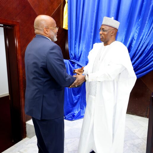 Interpellation du MATUH à l’Assemblée Nationale : séance du 24 novembre 2025 à N’Djamena 62