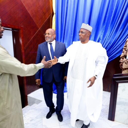 Interpellation du MATUH à l’Assemblée Nationale : séance du 24 novembre 2025 à N’Djamena 66