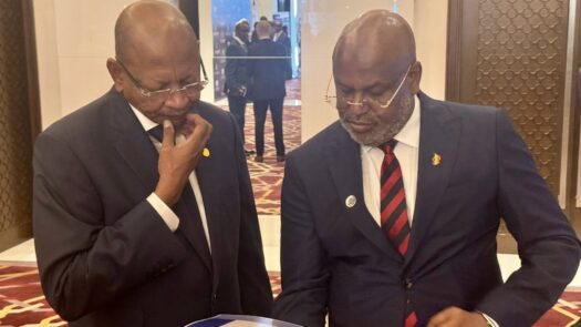 Programme national de développement