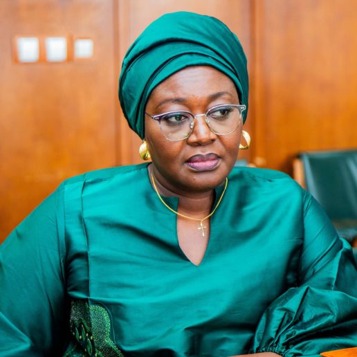 Tchad Connexion 2030