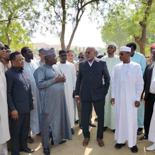 Lutte contre les occupations illégales à N’Djamena : ma descente dans les forêts urbaines