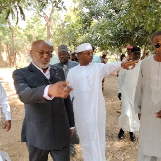 Lutte contre les occupations illégales à N’Djamena : ma descente dans les forêts urbaines