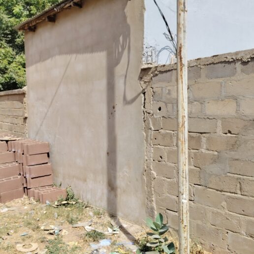 Lutte contre les occupations illégales à N’Djamena : ma descente dans les forêts urbaines