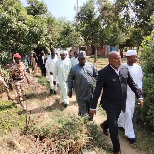 Lutte contre les occupations illégales à N’Djamena : ma descente dans les forêts urbaines