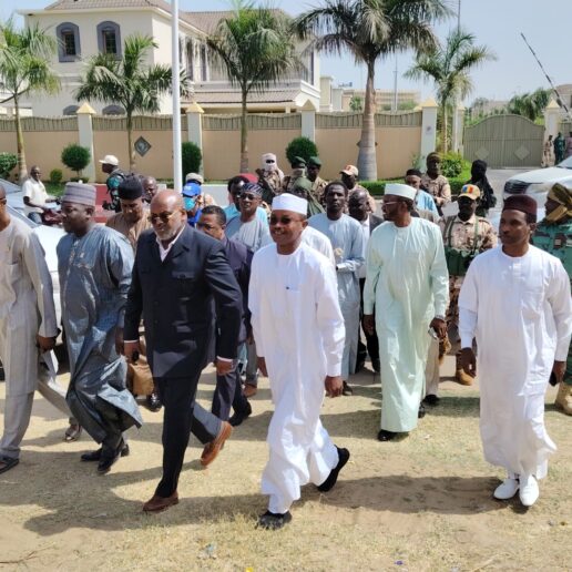 Lutte contre les occupations illégales à N’Djamena : ma descente dans les forêts urbaines