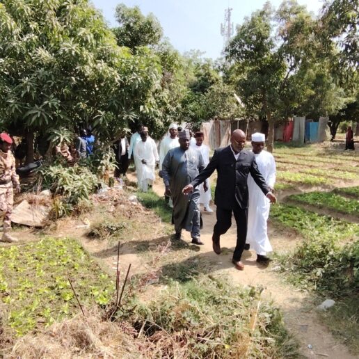 Lutte contre les occupations illégales à N’Djamena : ma descente dans les forêts urbaines