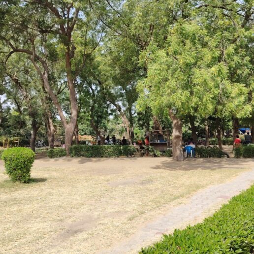 Lutte contre les occupations illégales à N’Djamena : ma descente dans les forêts urbaines