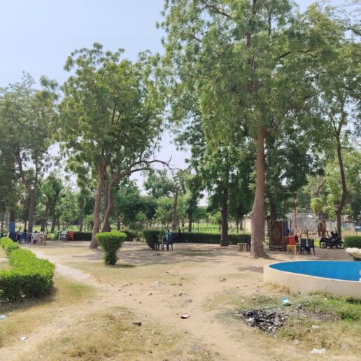 Lutte contre les occupations illégales à N’Djamena : ma descente dans les forêts urbaines