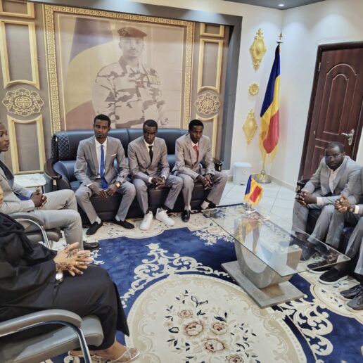 Une génération d’ingénieurs au cœur du Tchad Connexion 2030