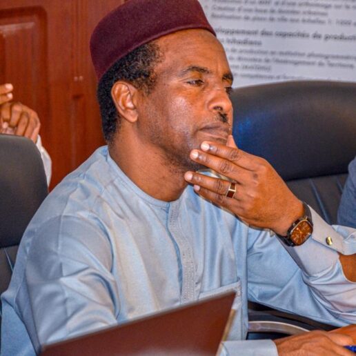 Audience avec le groupe international Wagas