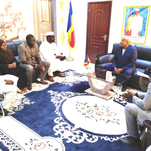 Audience avec les Ordres des Ingénieurs civils et des Architectes du Tchad