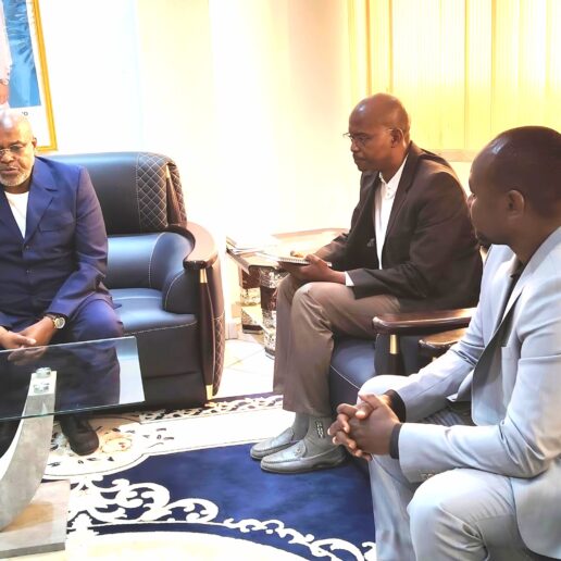 Audience avec les Ordres des Ingénieurs civils et des Architectes du Tchad