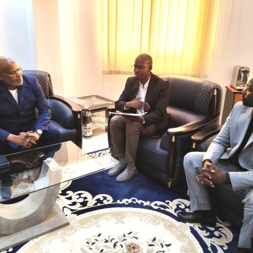 Audience avec les Ordres des Ingénieurs civils et des Architectes du Tchad