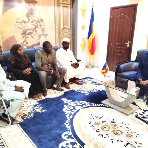 Audience avec les Ordres des Ingénieurs civils et des Architectes du Tchad