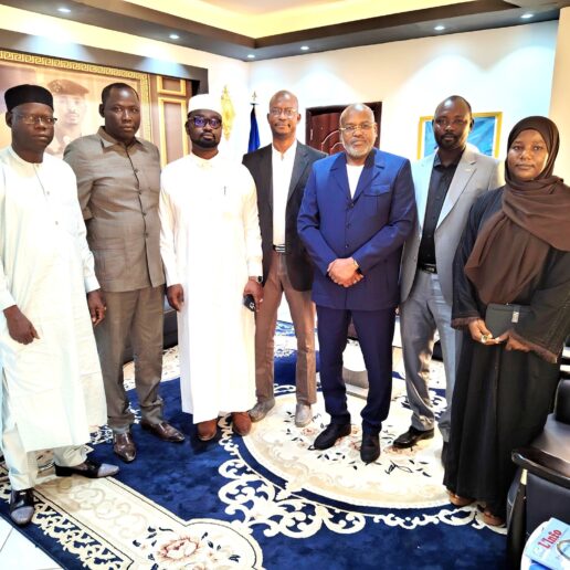 Audience avec les Ordres des Ingénieurs civils et des Architectes du Tchad