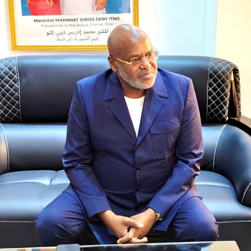 Audience avec les Ordres des Ingénieurs civils et des Architectes du Tchad