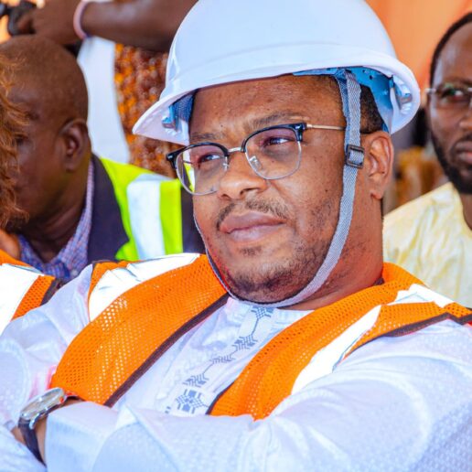 Digue de Ngueli : Des avancées majeures pour protéger et connecter la ville de N’Djamena-14