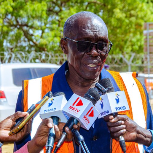 Digue de Ngueli : Des avancées majeures pour protéger et connecter la ville de N’Djamena-15