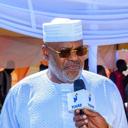 Digue de Ngueli : Des avancées majeures pour protéger et connecter la ville de N’Djamena-19