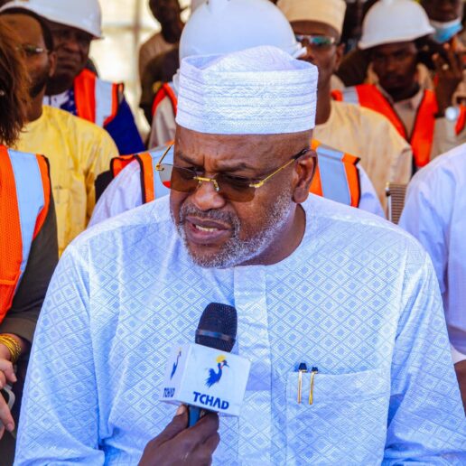 Digue de Ngueli : Des avancées majeures pour protéger et connecter la ville de N’Djamena