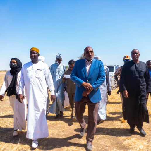 Sécurisation foncière dans le 1er arrondissement de N’Djamena-26