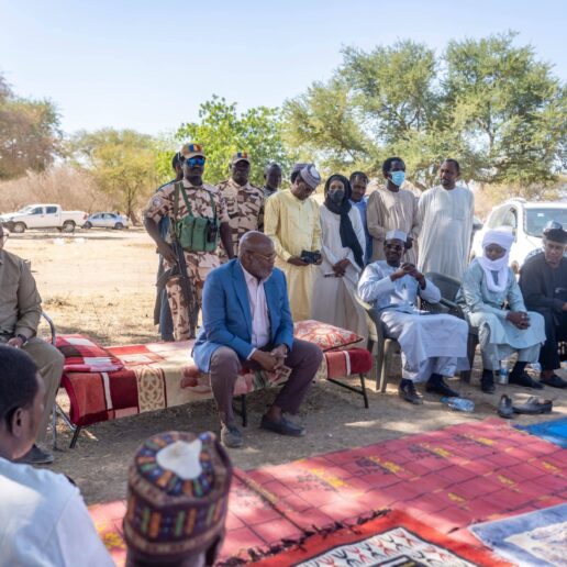 Sécurisation foncière dans le 1er arrondissement de N’Djamena-7