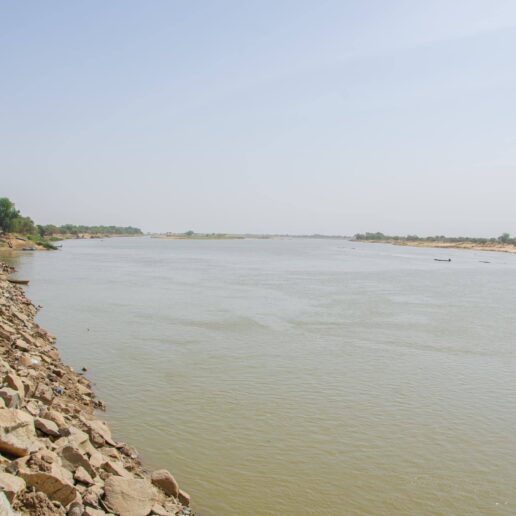 Sur les berges du Chari-11