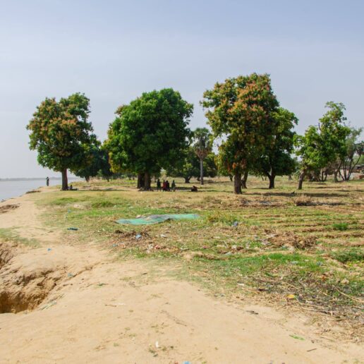 Sur les berges du Chari-8