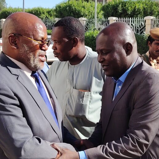 Vœux du Nouvel An 2026-28