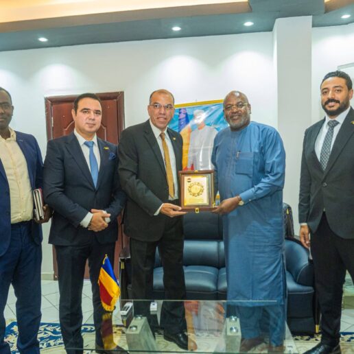 Rencontre avec AL BOROUJ MISR