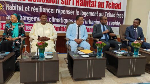 Habitat au Tchad : bâtir aujourd’hui le Tchad de demain-15