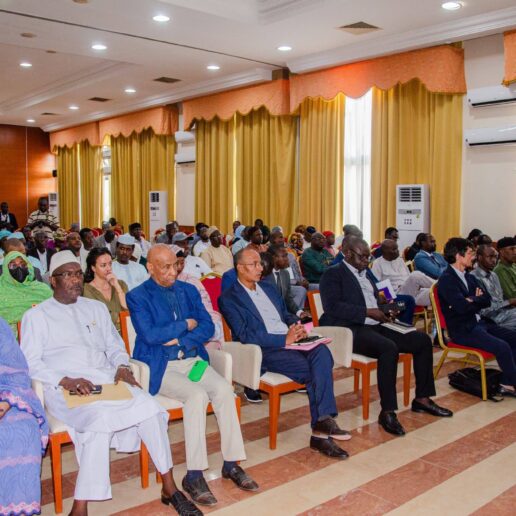 Habitat au Tchad : bâtir aujourd’hui le Tchad de demain-6