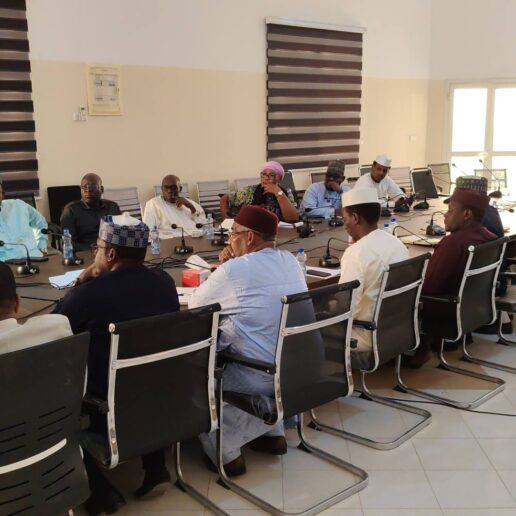 Rencontre avec les maires de N’Djaména-11