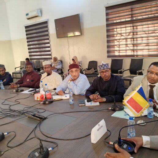 Rencontre avec les maires de N’Djaména-13