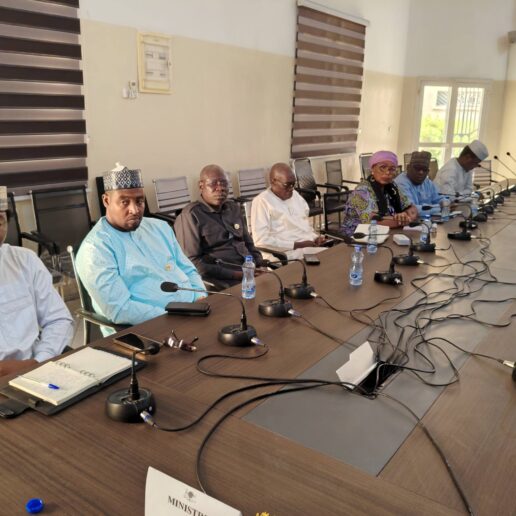 Rencontre avec les maires de N’Djaména-15