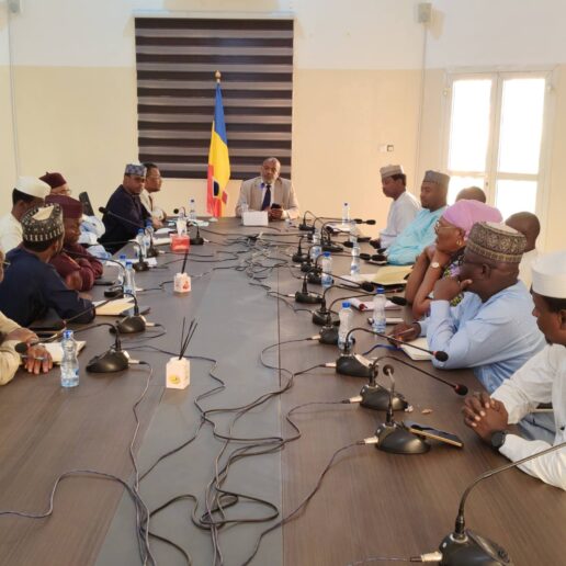 Rencontre avec les maires de N’Djaména-19