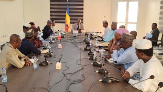 Rencontre avec les maires de N’Djaména-19