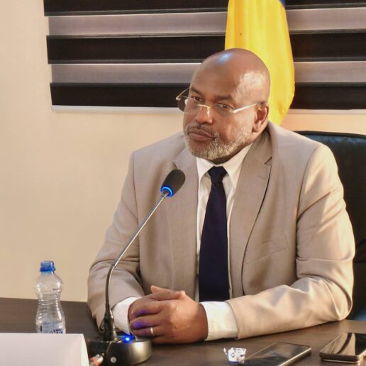 Rencontre avec les maires de N’Djaména-23