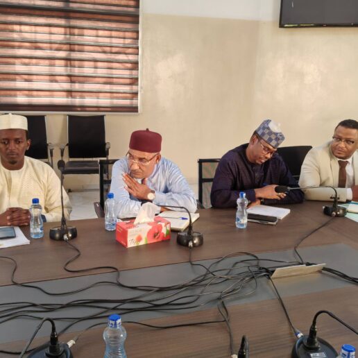 Rencontre avec les maires de N’Djaména