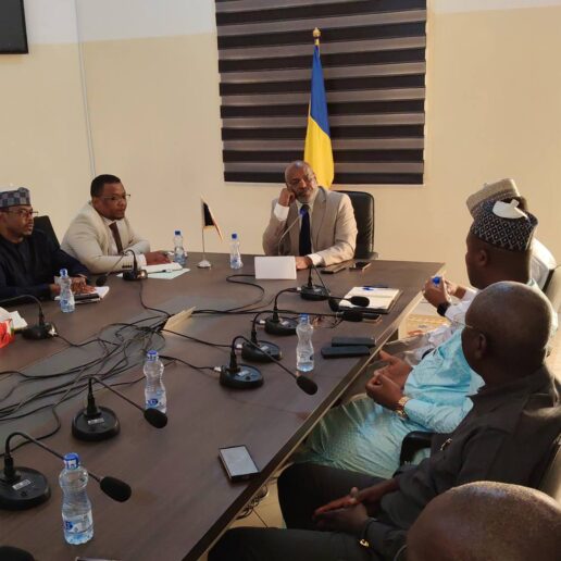 Rencontre avec les maires de N’Djaména-7