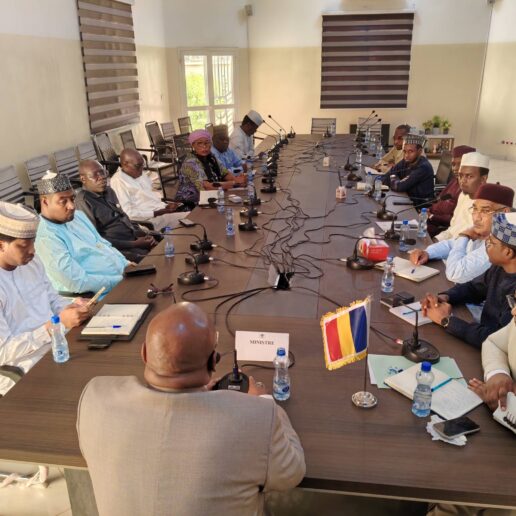 Rencontre avec les maires de N’Djaména-8